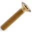 Framesandgear Titanium Countersunk Top Cap Bolt in Gold