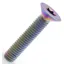 Framesandgear Titanium Countersunk Top Cap Bolt in Oil Slick