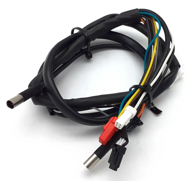 Giant E-Bike Motor to Display Main Cable