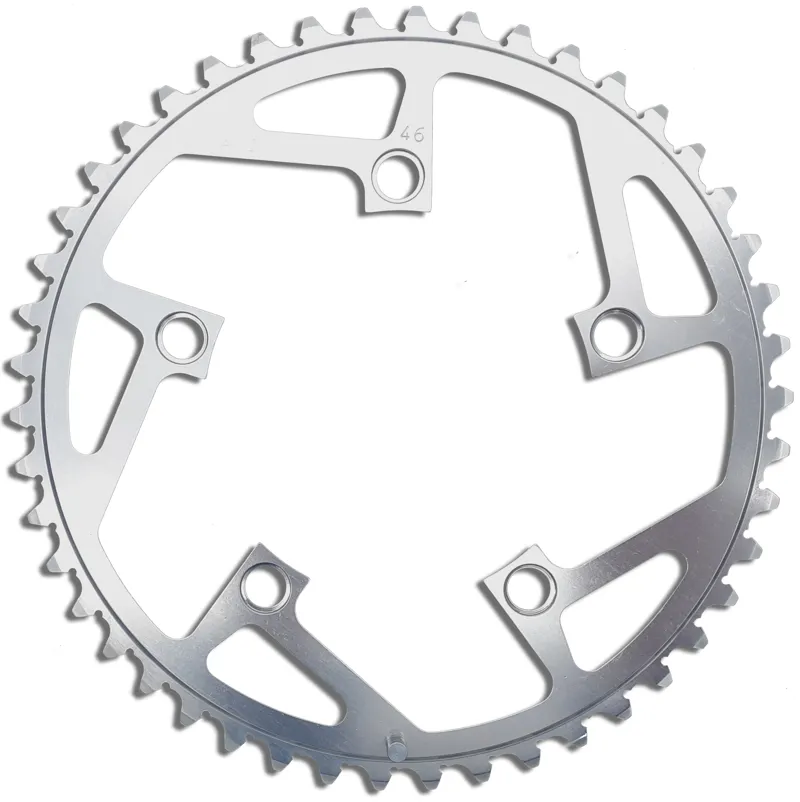 Pace RC-20 Extruder 110BCD 46t Chainring in Grey NOS