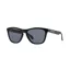 Oakley Frogskin in Polished Black with Grey Lens