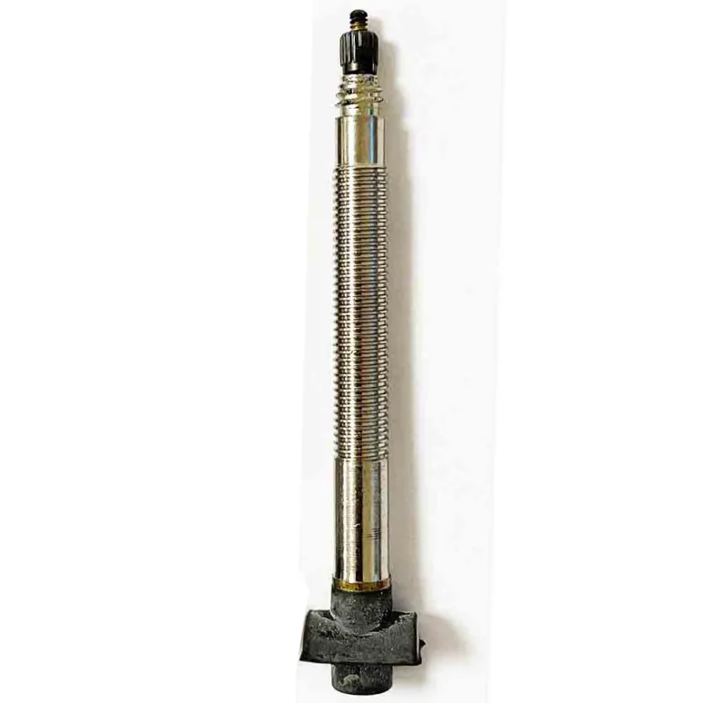 Mavic Rounded UST Tubeless Valve in Silver 60mm