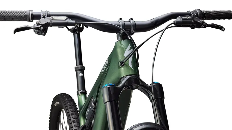Specialized Turbo Levo 4 Expert in Cypress Green Silver-4