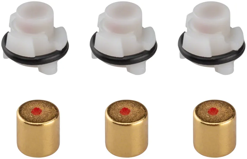 Zipp Cognition NSW Clutch Magnet Kit