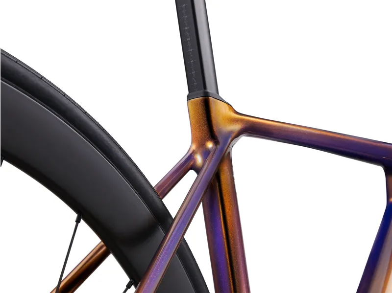 Giant TCR Advanced Pro 2 in Meteor Storm Gold/Purple Fade-4