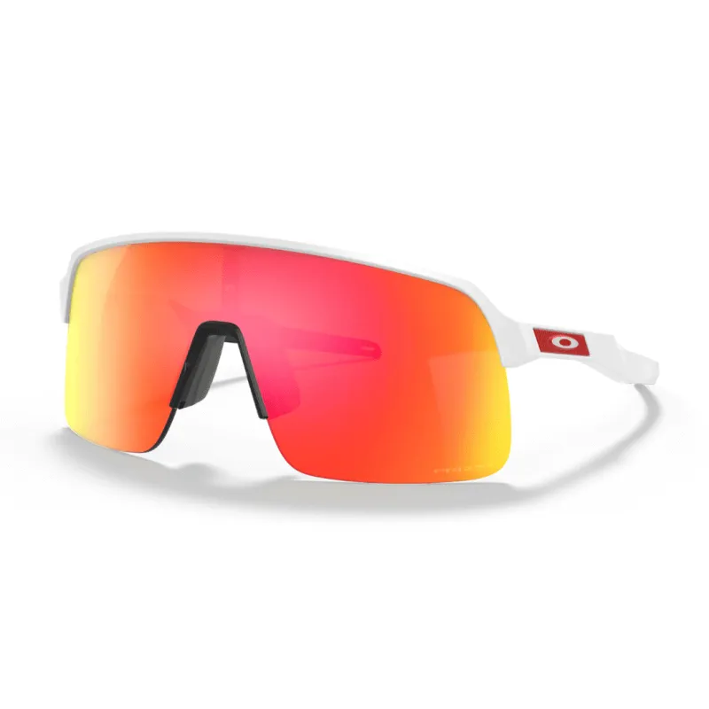 Occhiali specialized deals
