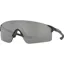 Oakley EVZero Blades in Mat Black with Prizm Black Lens