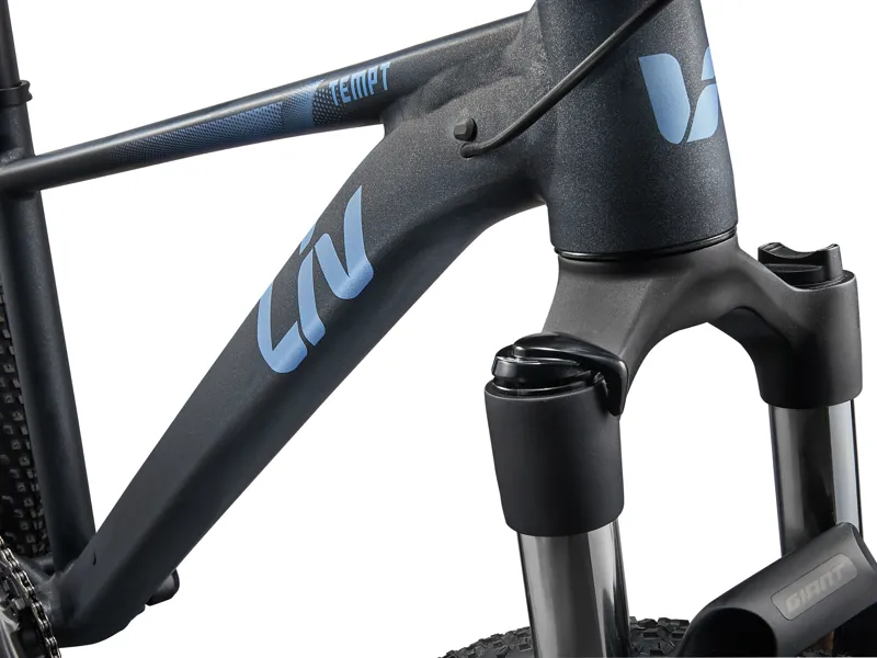 LIV Tempt 1 - 29 Moutainbike in Black Diamond-2