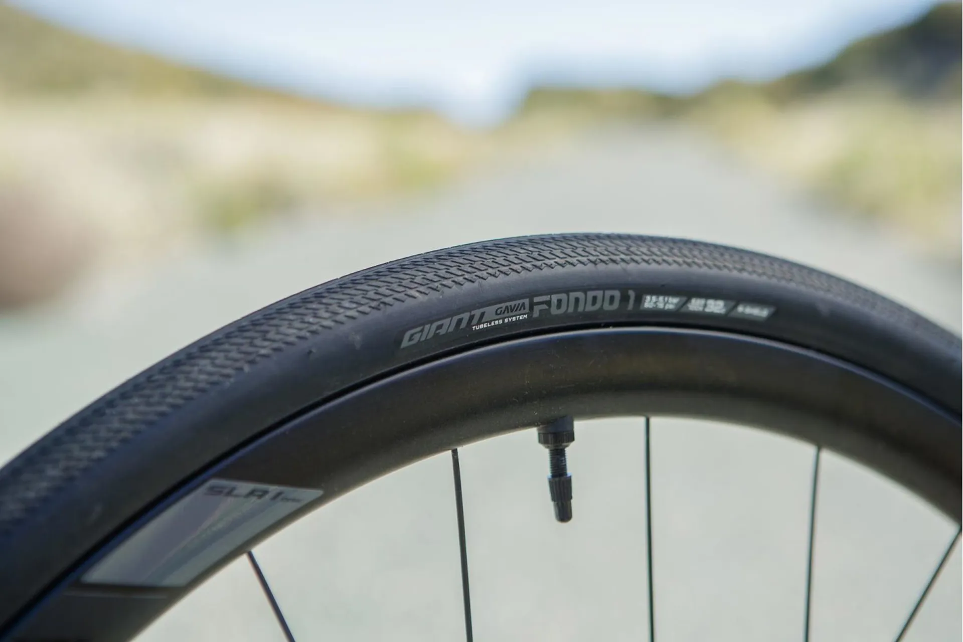 2020 Giant Gavia Fondo Tubeless Road Bike Tyre in Black