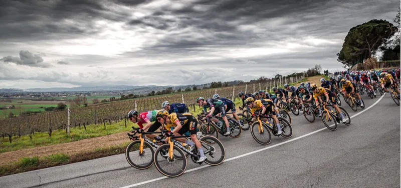 Vittoria Corsa Pro TLR Tubeless Ready Road Tyre in Tan-2